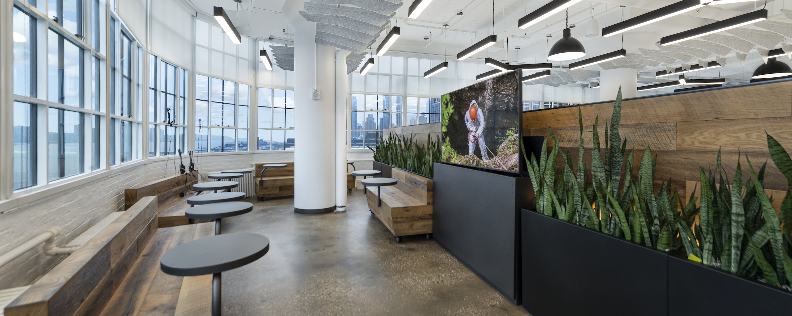 Office + Showroom Design